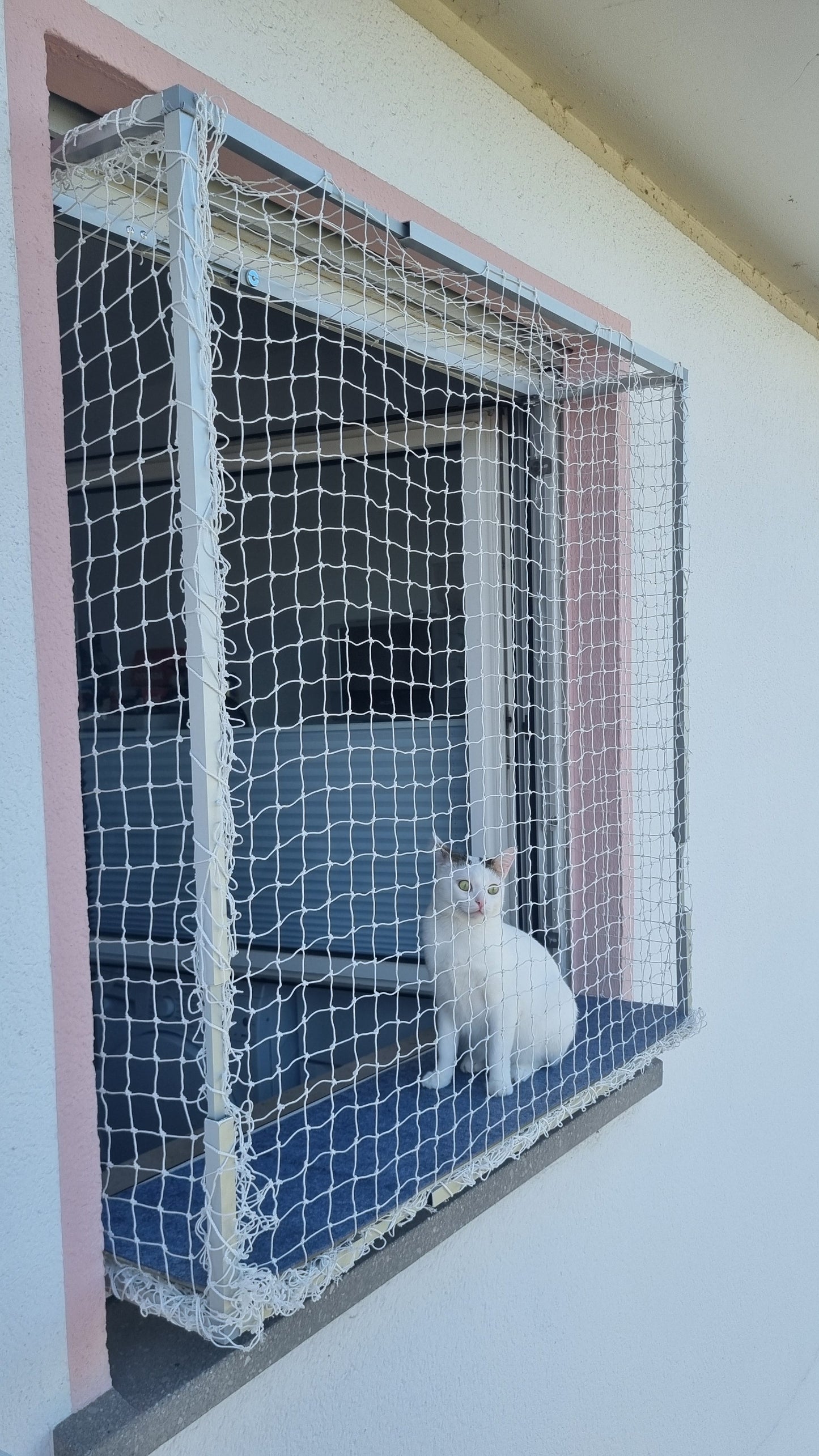 Größenverstellbarer Katzenbalkon für Fensteröffnungen