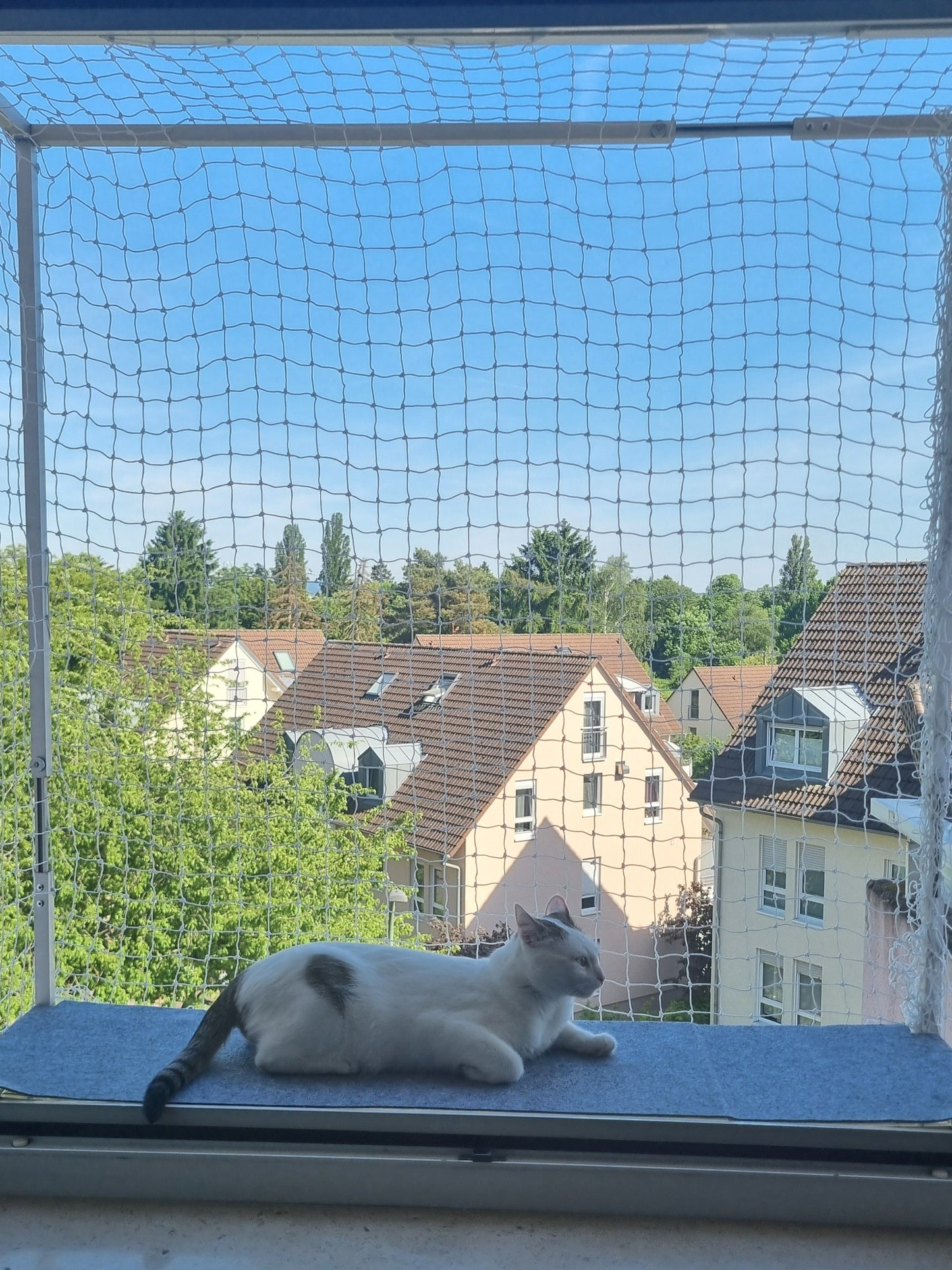 Verstellbarer Katzenbalkon für Fensteröffnungen
