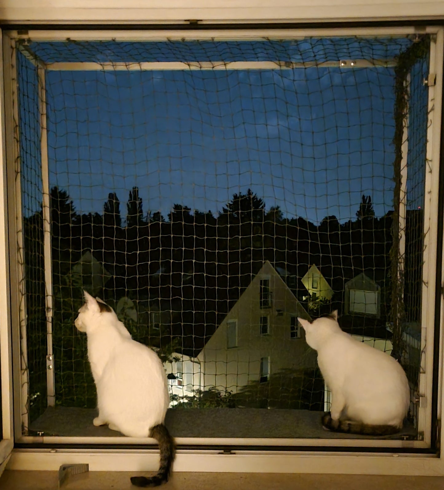 Verstellbarer Katzenbalkon für Fensteröffnungen