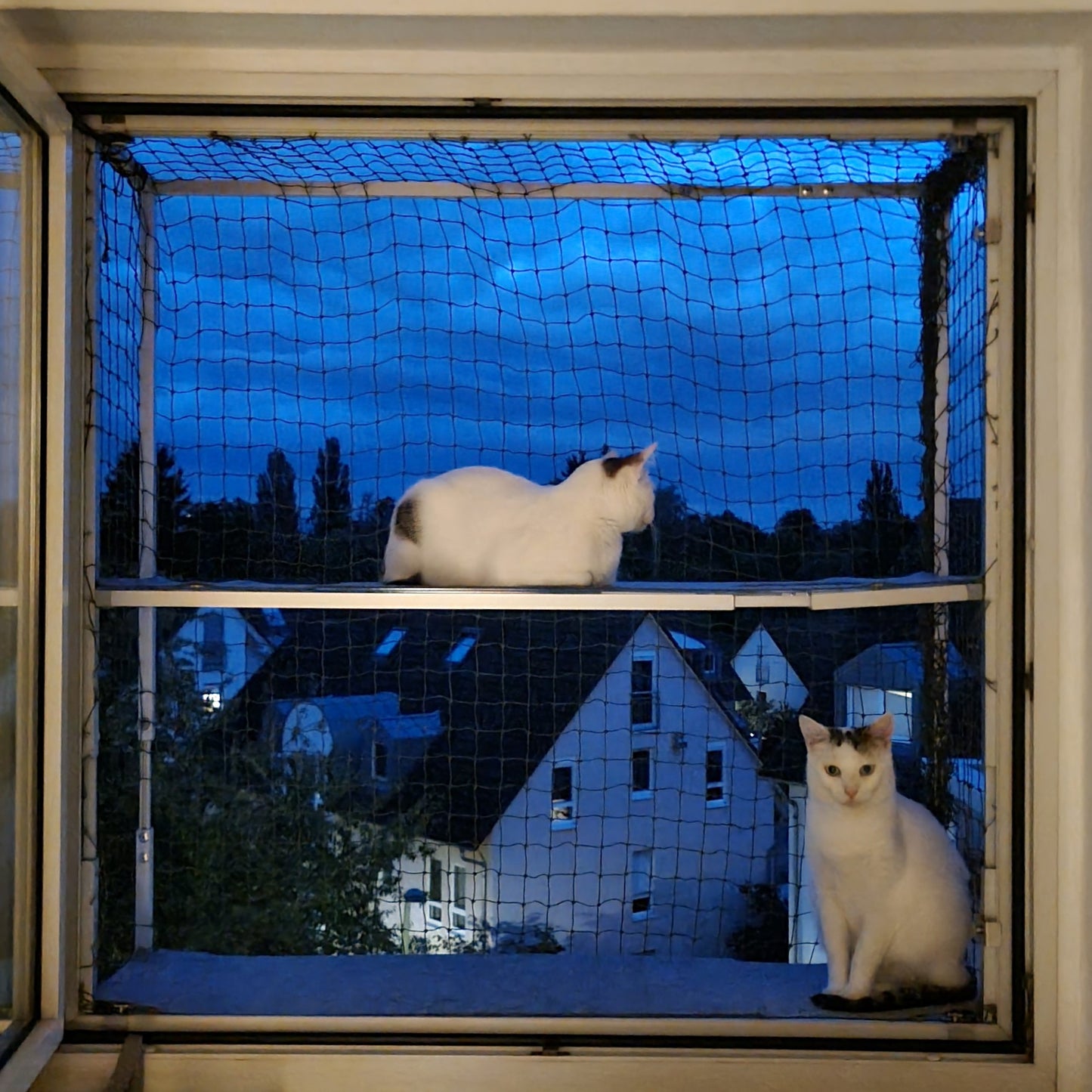 Zweite Ebene für Größenverstellbaren Katzenbalkon