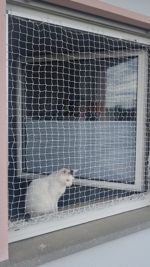 Größenverstellbarer Katzengitter für Fenster