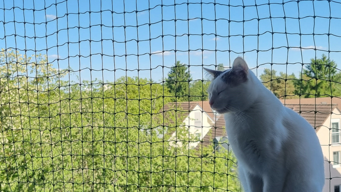 Katzengitter für Fenster