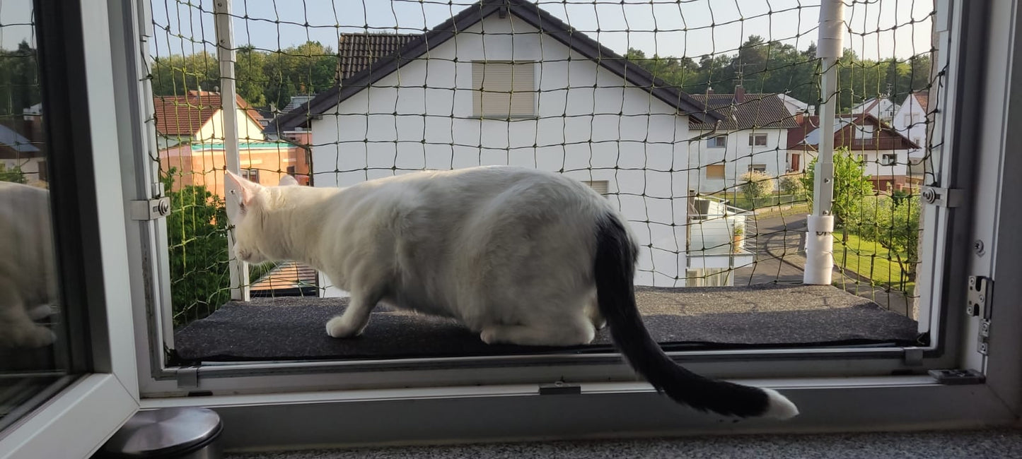 Erweiterungsboden für das Zweite Fenster